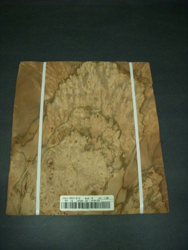 Pimento burl wood veneer raw 10 1/2 &#034; x 12 &#034; - 27 mm x 30 mm one sheet for sale