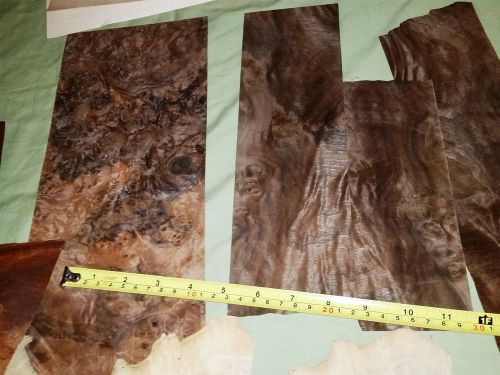 Huge 40 leaf veneer mix for crafters. burls !  great variety of wood leafs #cd6 for sale