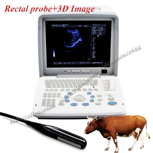 3d image veterinary digital ultrasound scanner sharp screen+7.5mhz rectal probe for sale