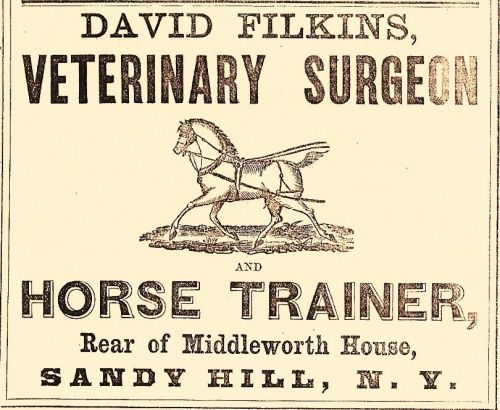 1871 DAVID FILKINS, SANDY HILL, NEW YORK VETERINARY SURGEON ADVERTISEMENT