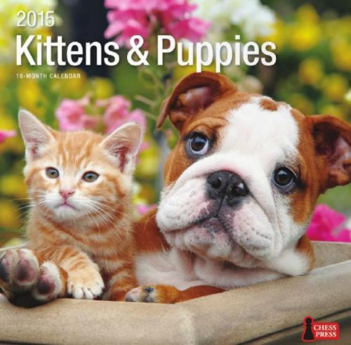 18-Month 2015 KITTENS &amp; PUPPIES Wall Calendar NEW &amp; SEALED Cute Dogs &amp; Cats