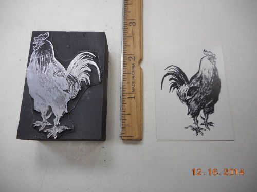 Letterpress Printing Printers Block, Farm Rooster Chicken, Poultry