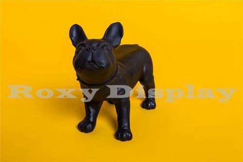 Rubber plastic Realistic Style Small Dog Mannequin #MZ-KEVIN1BK