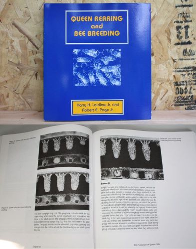 Queen Rearing and Bee Breeding by Laidlaw and Page honey beekeeping book