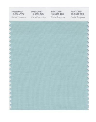 PANTONE SMART 13-5309X Color Swatch Card, Pastel Turquoise