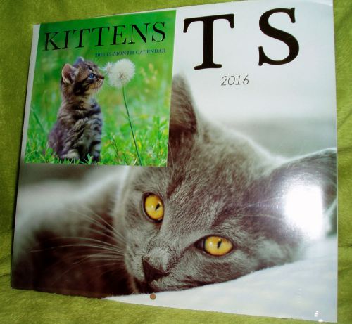 2016 CATS Lover 12 Month Wall Calendar &amp; Mini KITTENS Calendar New &amp; Sealed
