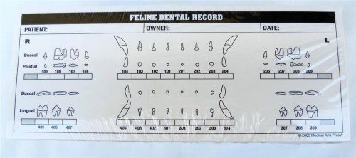250 Veterinary Examination Medical Feline Dental Record Labels White 3-1/4x8&#034;