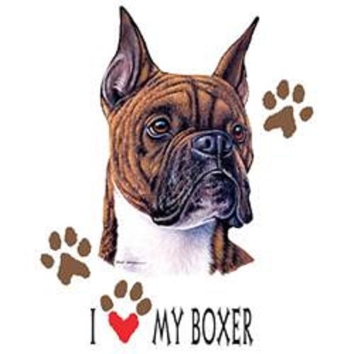 I Love My Boxer Dog HEAT PRESS TRANSFER for T Shirt Sweatshirt Tote Fabric 817j