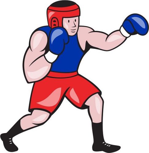30 Custom Young Boxer Personalized Address Labels