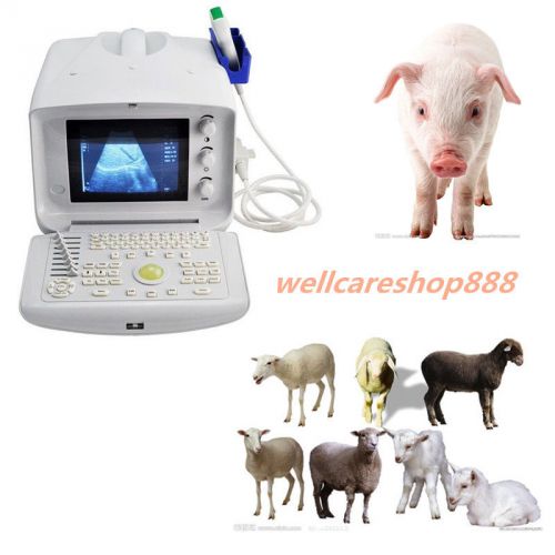 Portable digital veterianry ultrasound scanner machine convex breeding for sale