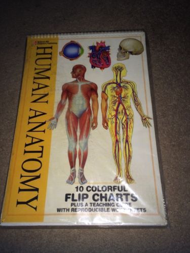 McGraw Hill Human Anatomy - 10 Spiral Bound Flip Charts Teaching Aid - Sealed