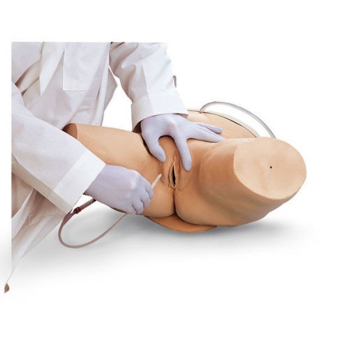 Nasco Life/formFemale Catheterization Simulator