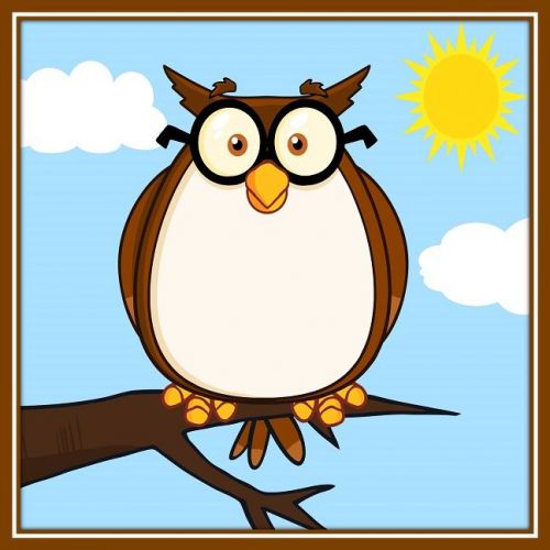 30 Custom Wise Cartoon Owl Personalized Address Labels