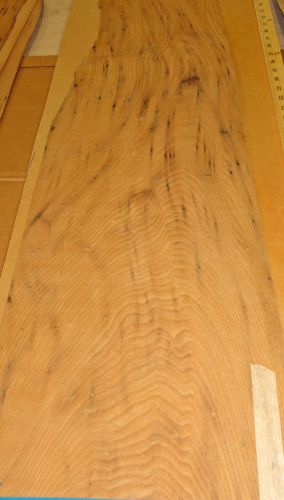 Wormy Chestnut wood veneer 12&#034; x 38&#034; raw no backing 1/32&#034; thickness &#034;A&#034; grade