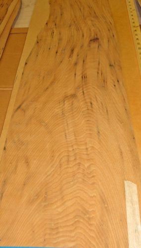 Wormy Chestnut wood veneer 12&#034; x 38&#034; raw no backing 1/32&#034; thickness &#034;A&#034; grade