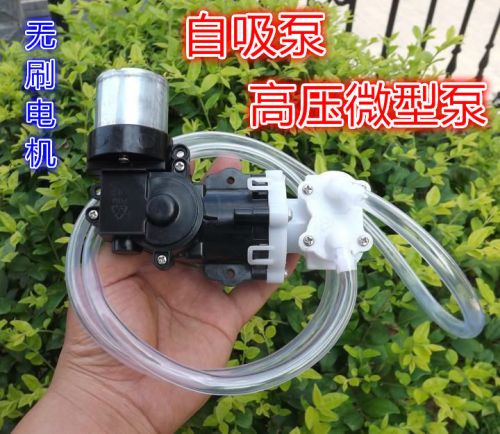 Brushless motor high-pressure pumps self-priming pump diaphragm pump+1m tube for sale