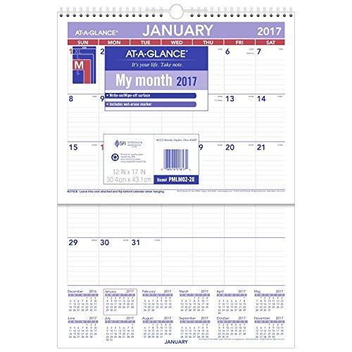At-A-Glance AT-A-GLANCE Monthly Wall Calendar 2017, Erasable, 12 x 17&#034;, Ruled