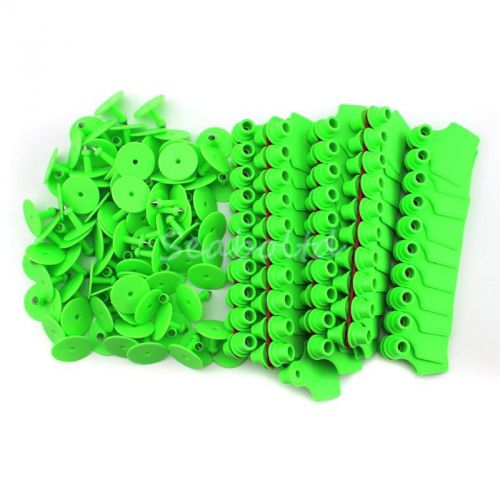 Green Blank Plastic Livestock Ear Tag Animal Tag for Goat Sheep Pig for 100Pcs