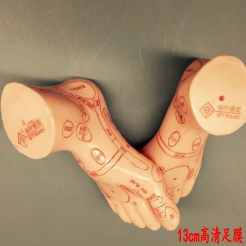 Model Foot model foot massage acupuncture point acupuncture moxibustion 13CM