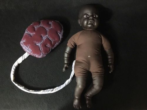 African American Baby Doll &amp; Placenta Anatomical Anatomy Model, 2 part