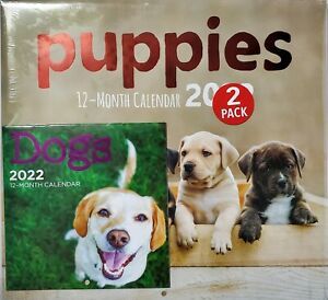 New!!! 2022 Puppies  12 Month Calendar 1112 w/Dogs Bonus Mini
