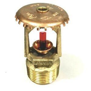 Brass Upright Standard Coverage fits Tyco 575901286 Sprinkler Head TY4151 3/4&#034;