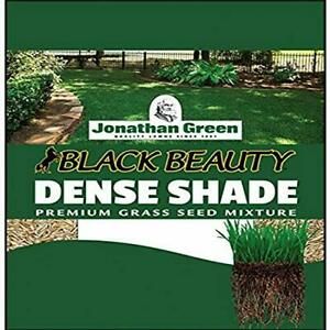 Jonathan Green 10622 Dense Shade Grass Seed Mix 1 Pound Herbs Garden Patio Home