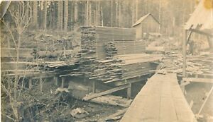 Vintage Photo Northwest Lumberyard in Forest Photograph