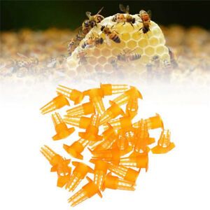 25Pcs Beekeeping Tools Yellow Plastic Bee Queen Cage Protective Cover Protec WM