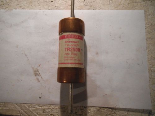GOULD SHAWMUT TR250R TRI-ONIC TIME DELAY 250 AMP 250V FUSE  - NEW WITHOUT BOX