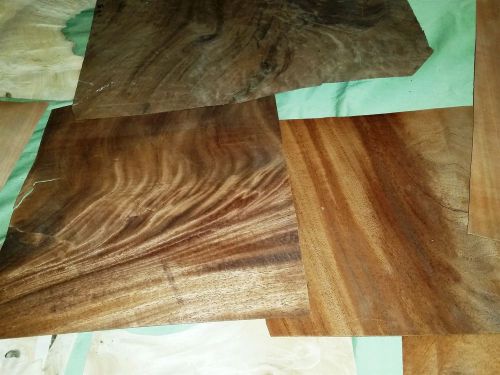 Huge 35 leaf veneer mix for crafters. burls !  great variety of wood leafs #cd5 for sale