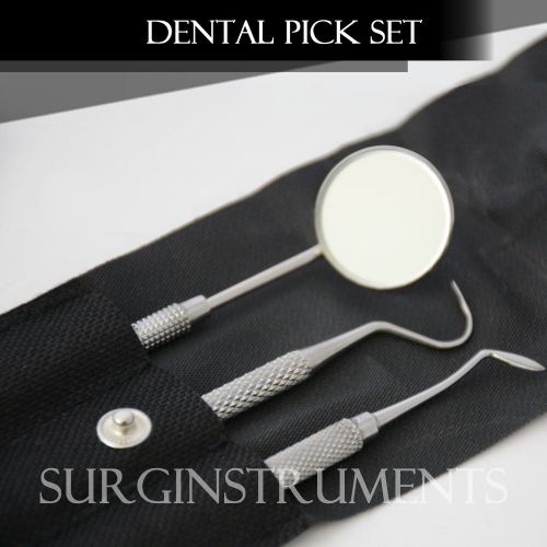 Dental pick &amp; mirror set with case instrument oral kit tooth teeth holiday gift for sale