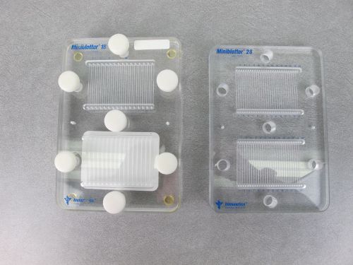 IMMUNETICS MINIBLOTTERS 16 &amp; 28 DUAL CHANNEL FOR HYBRIDIZATION AND BLOTS DNA