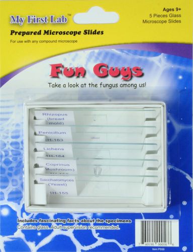 Prepared slides set &#034;fun guys&#034;. 5 slides of various fungi. he shoots, he spores! for sale