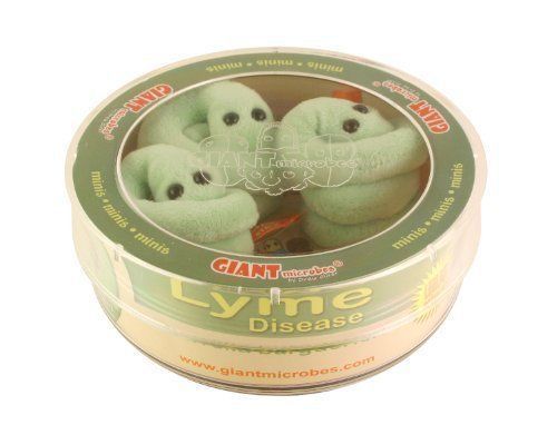 Giant Microbes Lyme Disease (Borrelia burgdorferi) Petri Dish