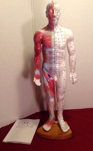 Body Model For Both Meridian And Extraordinary Points Of China