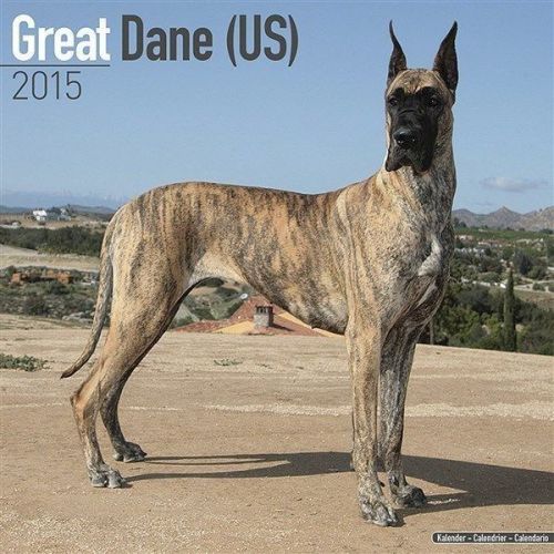 New 2015 great dane (us) wall calendar by avonside- free priority shipping! for sale