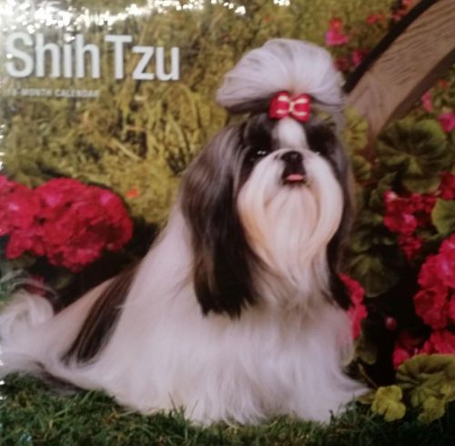 18-Month 2015 SHIH TZU 12x12 Wall Calendar NEW Adorable Cute Dogs &amp; Puppies