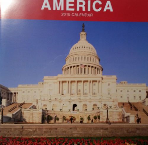 2015 AMERICA 11x11 Wall Calendar NEW Scenic United States USA Mt. Rushmore