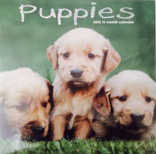2015 12 Month Calendar Puppies For Pet Lovers Office Desk Or Wall Cute Puppy