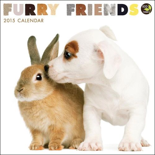 2015 FURRY FRIENDS Wall Calendar NEW 12x12 Cute Kitten Puppies Rabbits Horses