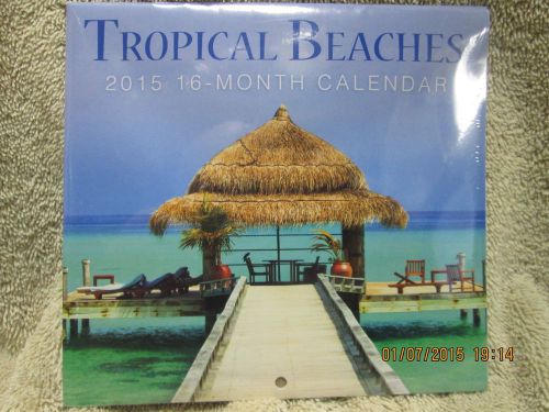 2015 TROPICAL BEACHES 16-month MINI Wall Calendar   NEW