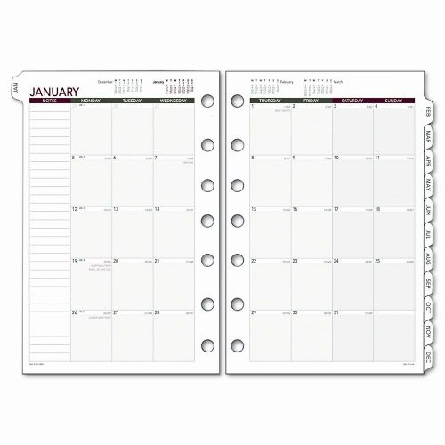 Day Runner Express Monthly Planning Pages Refill, 8-1/2 x 11, 2013