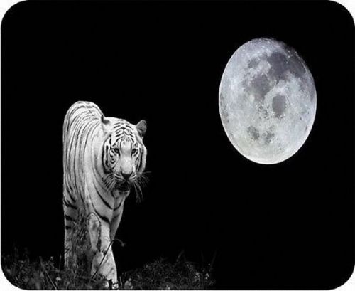Hot new the white tiger and the moon large mats mousepad hot gift for sale