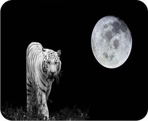 Hot New THE WHITE TIGER AND THE MOON Large Mats Mousepad Hot Gift