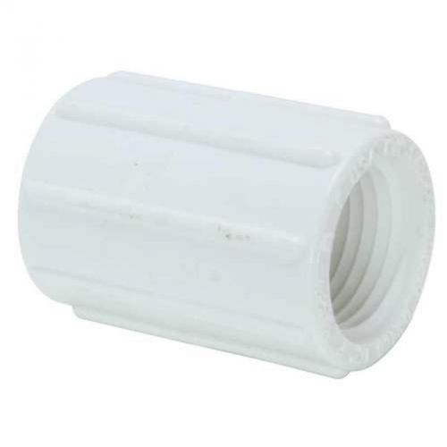 PVC Sch 40 Female Coupling 1/2&#034; 430-005 Mueller B and K Abs - Dwv Couplings