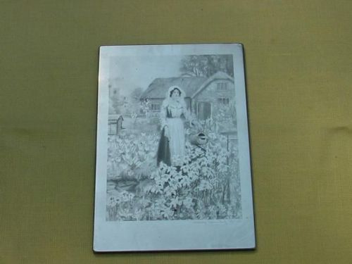 VINTAGE  PRINTING PLATE FOR ART PRINT AN OLD FASHIONED GARDEN