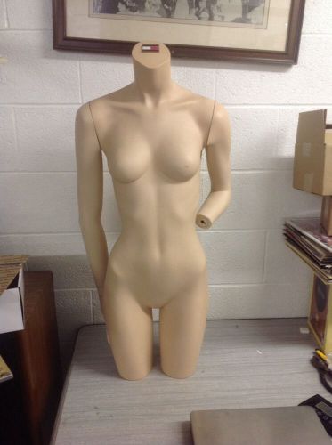 Store Display New John Nissen Mannequin - Torso