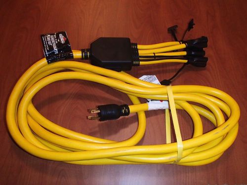 Briggs and Stratton 25&#039;Generator Cord 4 120v plugs from one 240v 30 amp
