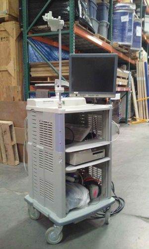 Olympus WM-30 Workstation Endoscopy Cart &amp; Monitor